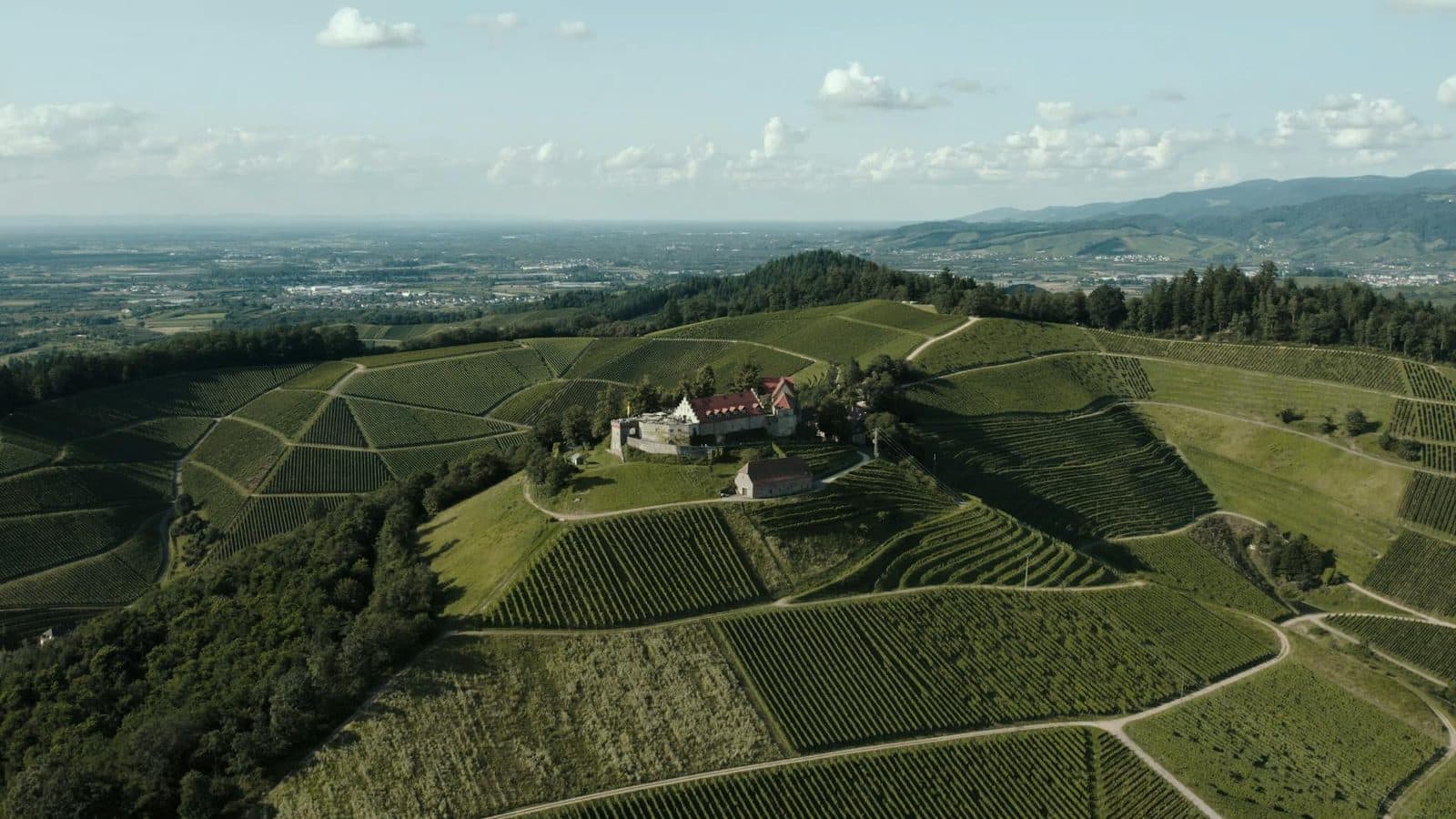 Landschaft der Bergstraße und Rhein-Neckar-Region — Tätigkeitsgebiet von Edith Voss